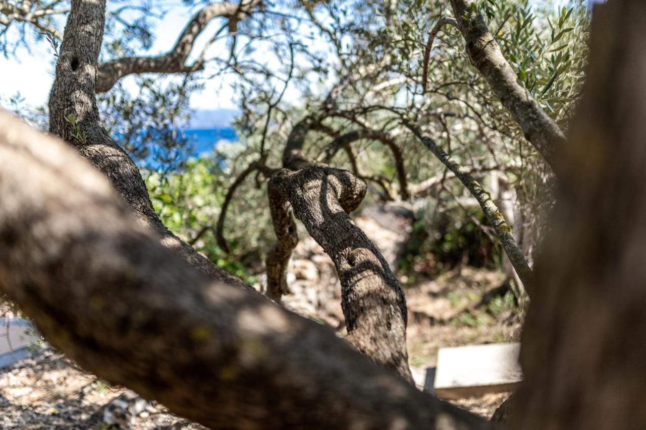 Olive's Garden House Villa Vela Luka Buitenkant foto